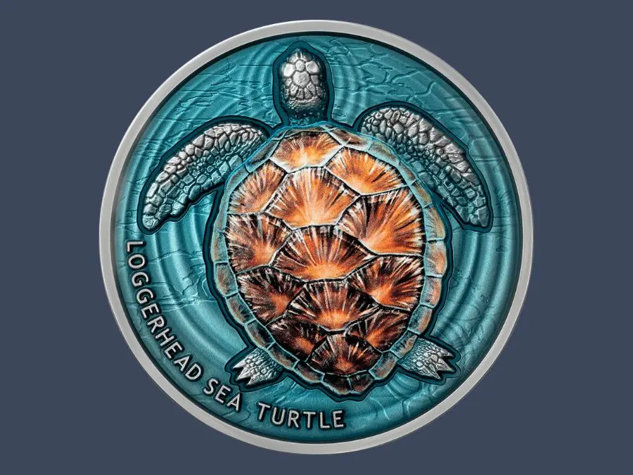 Epoxy Coating Epoxy Coating