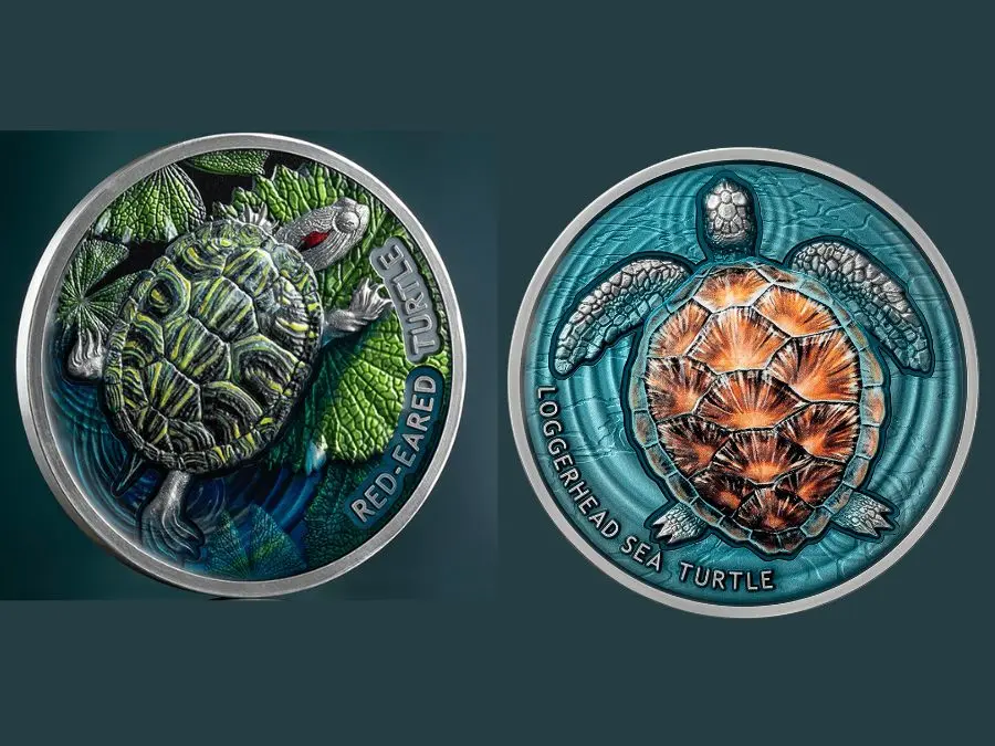 Ví dụ Epoxy Coating Ví dụ Epoxy Coating