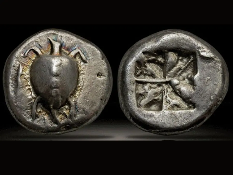 Aegina khắc họa sức mạnh hải quân qua biểu tượng rùa biển Bạc cổ Hy Lạp