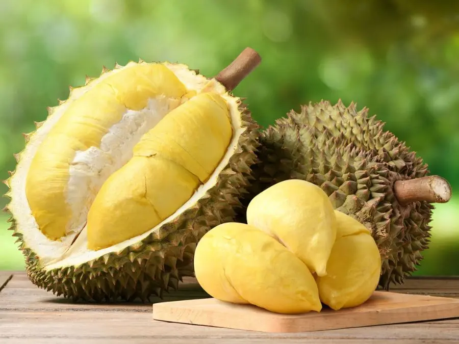 Mùng 1 kiêng ăn gì để tránh xui xẻo Mùng 1 kiêng ăn gì để tránh xui xẻo