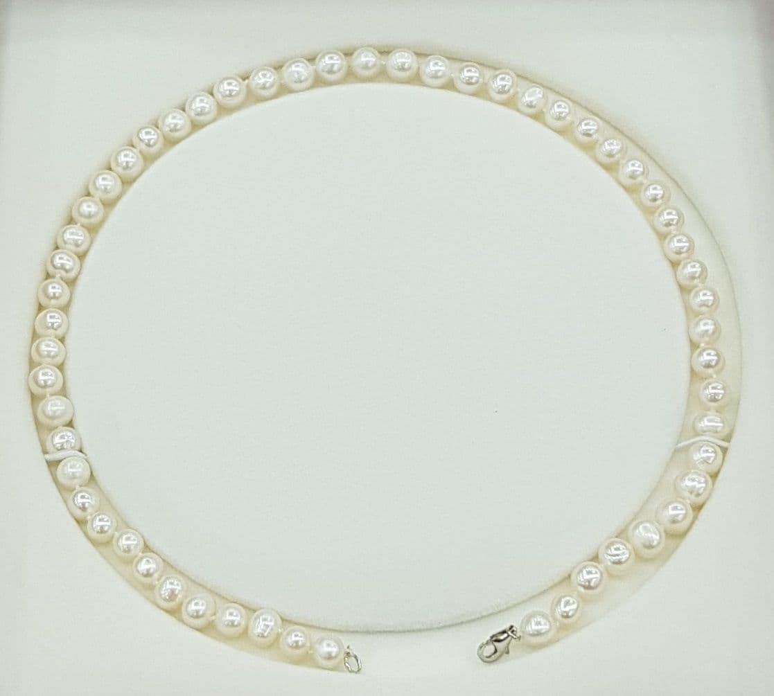 Vòng Cổ Ngọc Trai (gồm hộp)
