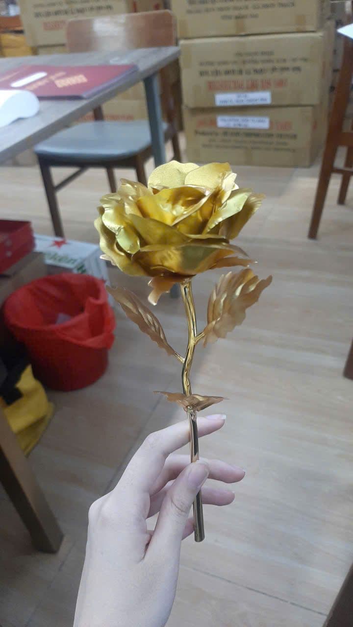 Hoa hồng vàng