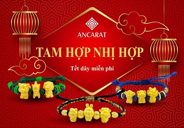 Tam hợp - nhị hợp 2025