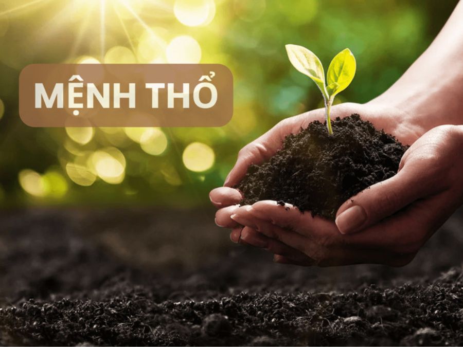 Người mệnh Thổ đá phần là người chân thành và mộc mạc